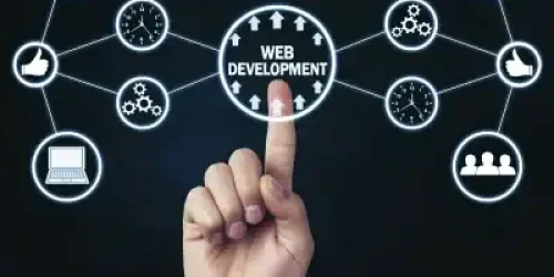 7 Best Custom Web Development Strategies 2025